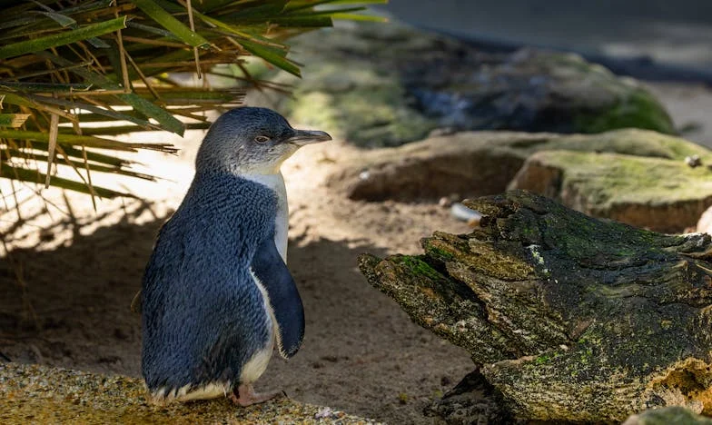 Când casa nu mai e acasă: Între nora și fiică