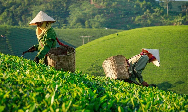 Când mi-au vrut să-mi ia numele și copilul: Povestea unei mame care nu a cedat