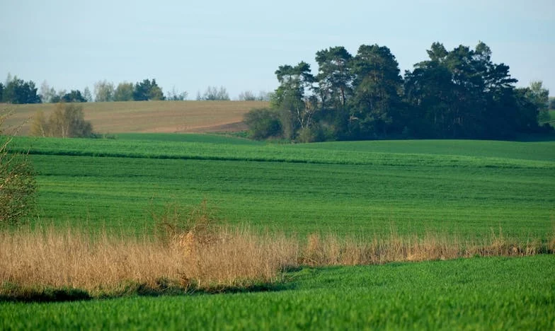 Când Viața Nu Urmează Planul: Povestea Anei și Dorința de a Fi Mamă