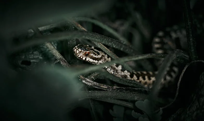 Casa care ne-a despărțit: Povestea unei moșteniri și a unei familii sfâșiate