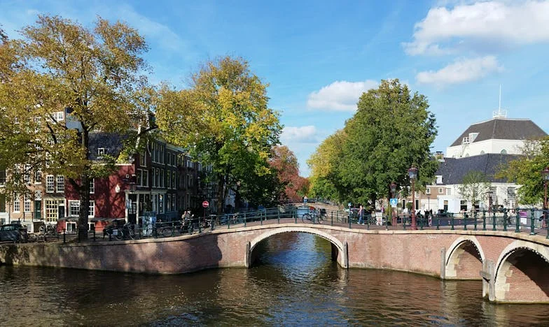 Casa visurilor mele furată de cei dragi: Povestea unei trădări de familie