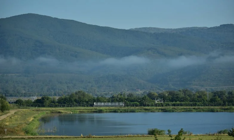 Cinci perechi de șosete pe zi: Povestea unei iubiri sufocate de obsesie