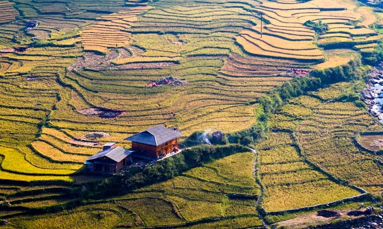 „Dă rochia înapoi — oricum nu ți se potrivește”: între soacră, intrigi și familia altcuiva