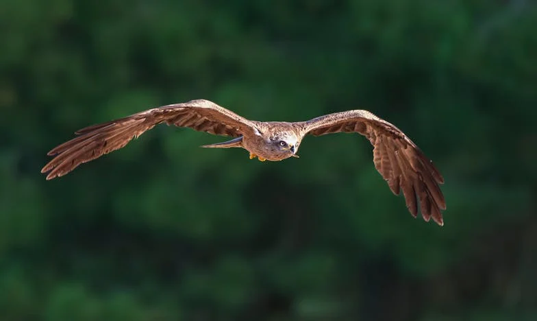 De ce am ascuns de prietenii mei că ne cumpărăm un teren? O poveste despre încredere, teamă și momente pierdute