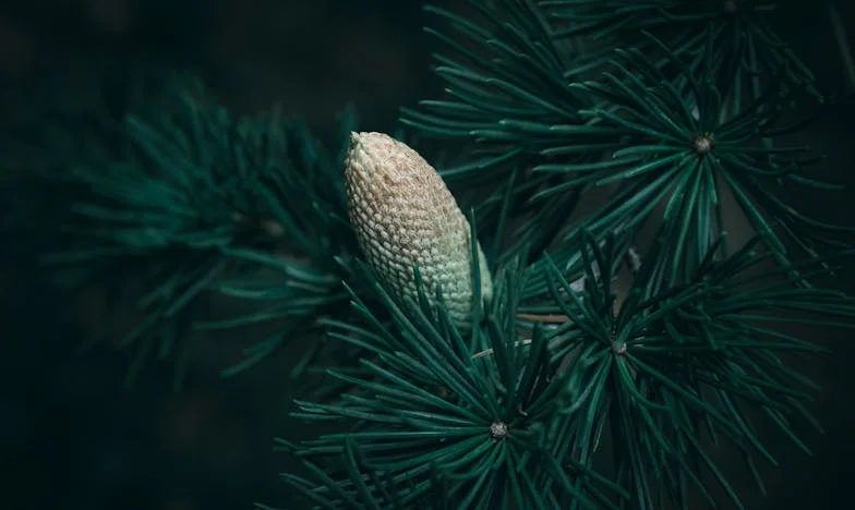 Duminica la masa mamei Mirela: Adevărul care a spart liniștea