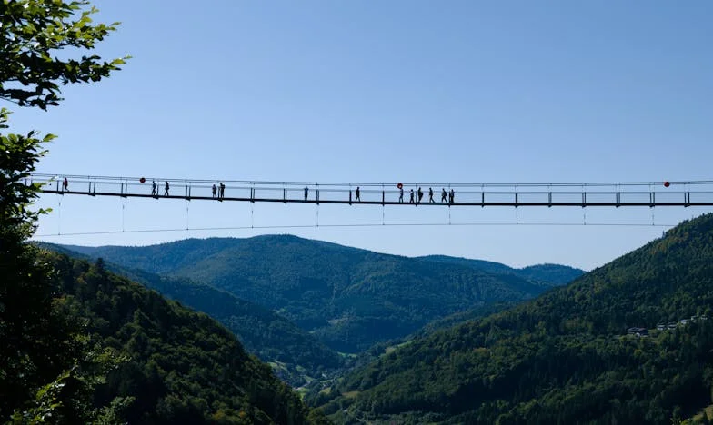 Fratele meu nu-mi mai vorbește de când părinții mi-au cumpărat o mașină