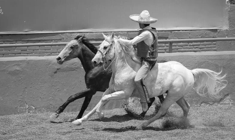 Între bani și iubire: Adevărul amar despre ajutorul din familie