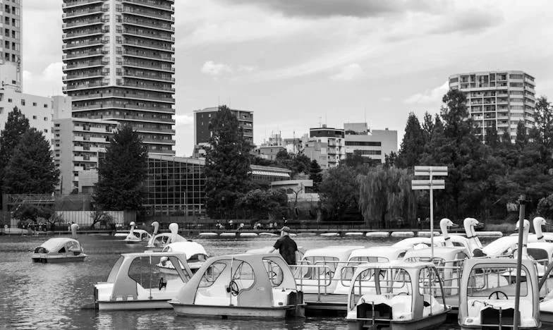 Între datoria față de familie și dreptul la fericire: povestea mea