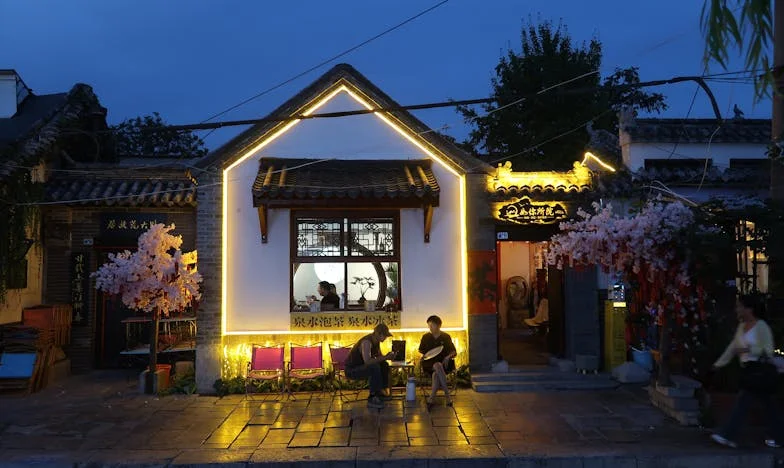 Între datorie și libertate: Povestea mea, Vlad