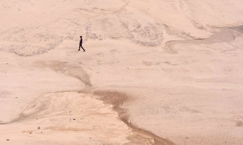 Între Două Focuri: Cum Am Luptat Pentru Dragostea Mamei Mele