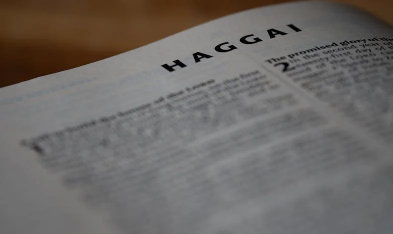 Între două lumi: Povestea unei mame care își pierde fiul în fața unei familii perfecte