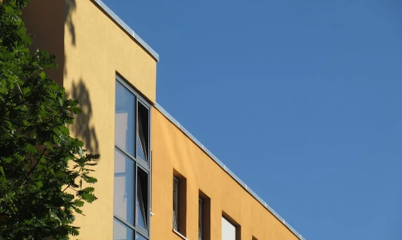 Între două lumi: Soția invizibilă