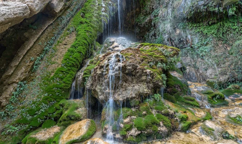 Între dragoste și limite: Povestea unei mame care trebuie să aleagă