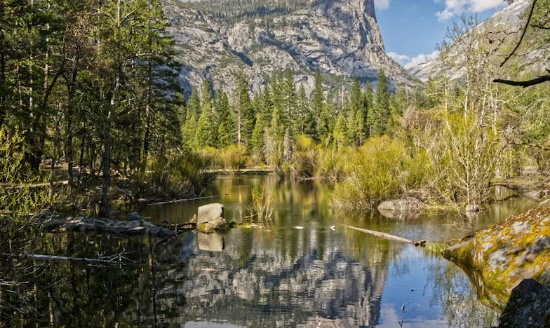 Între visuri și așteptări: Povestea mea, Lenuța, și lupta pentru dreptul la fericire