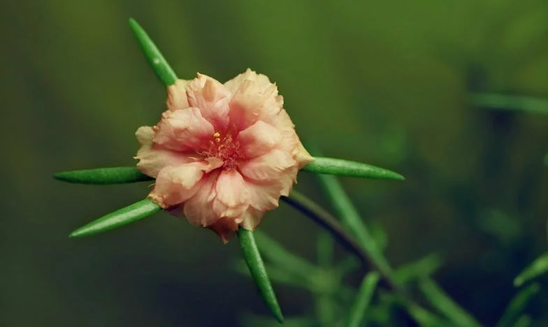 La 58 de ani, iubirea nu are vârstă: Povestea mea între scepticismul fiicei și curajul de a iubi din nou