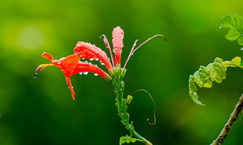 Nora mea și ecranul dintre noi: Povestea unei mame care nu știe să renunțe