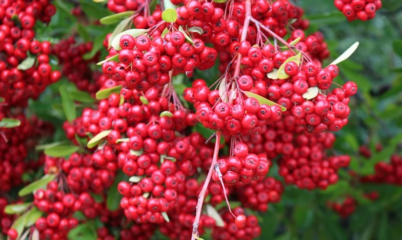 Nu am știut că am o fiică până azi, dar nu o voi da niciodată la orfelinat