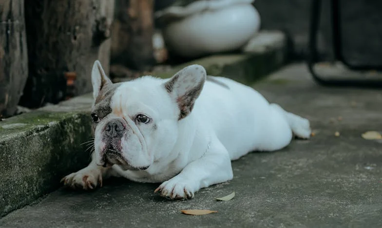 „Nu mai veni la mine!” – Povestea unei fiice între iubire și manipulare