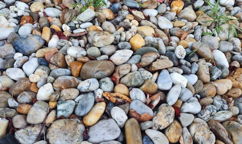 Nu poți să te prefaci că totul e la fel – povestea Magdei din Botoșani