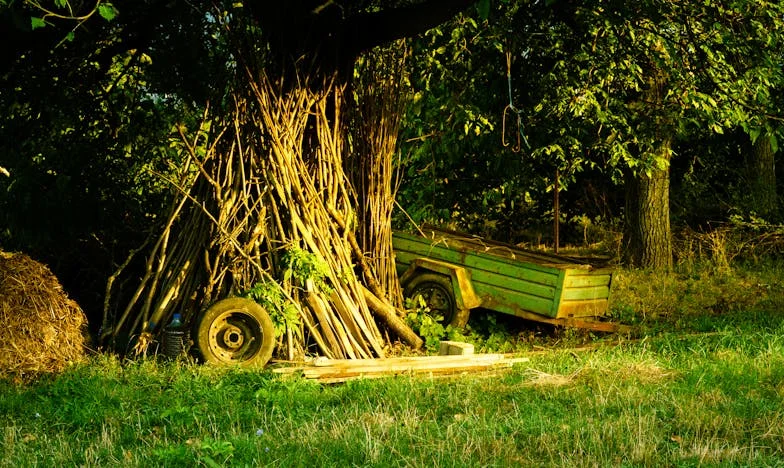 Nu vreau ca nora mea să câștige mai mult: Povara unei bunici între datorie și orgoliu