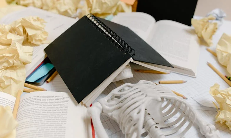 O casă împărțită: Prețul mândriei și al prejudecății