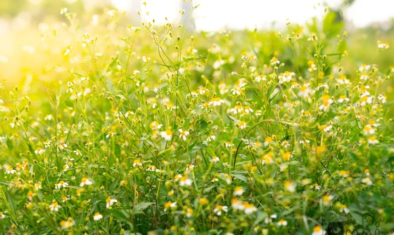 Oporunca care mi-a frânt inima: Totul a lăsat ei, iar eu am rămas cu mâinile goale