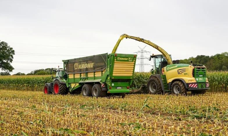 Rugăciune în mijlocul furtunii: Cum credința m-a ajutat să trec peste criza familiei și testul de paternitate al fiicei mele