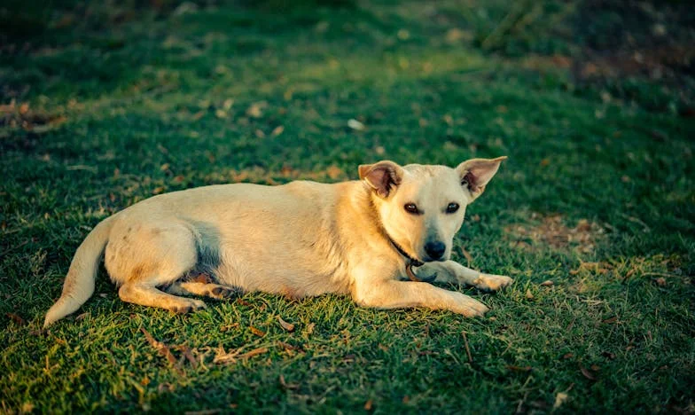 Rușinea care doare: Povestea unei mame și a fiicei sale între așteptări și realitate