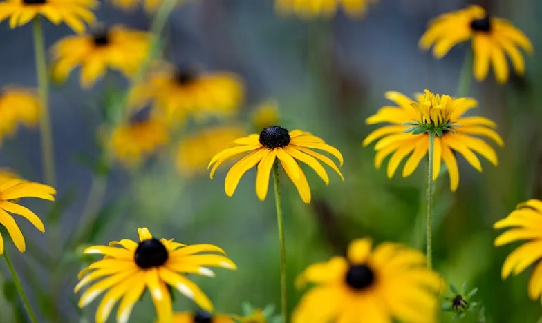 Singură între doi: Povestea unei mame care nu renunță