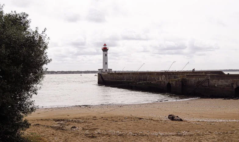 Snaha care a schimbat totul: Când tradiția se ciocnește cu vremurile noi