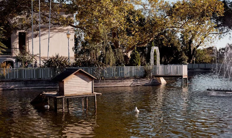 Soțul meu mi-a trimis o factură pentru viața noastră împreună: Poveste despre iubire, bani și trădare într-o familie românească