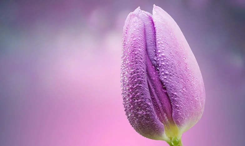 Sub același acoperiș: O poveste despre pierdere, regăsire și curajul de a iubi din nou