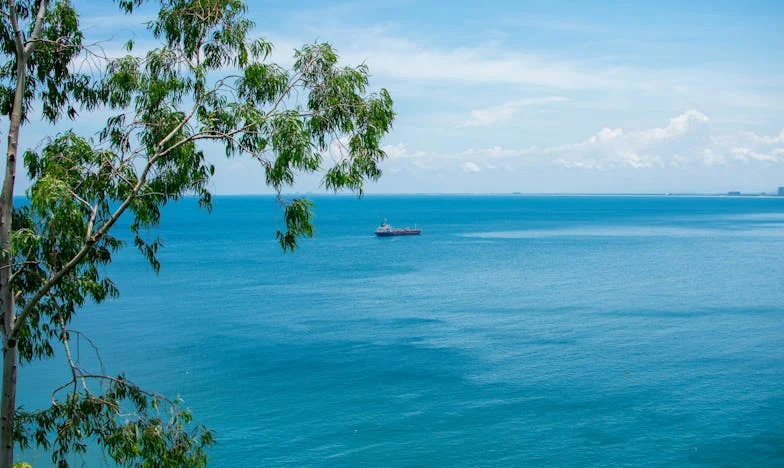 Sub masca bunătății: Povestea unui cadou care a dezgolit adevărul