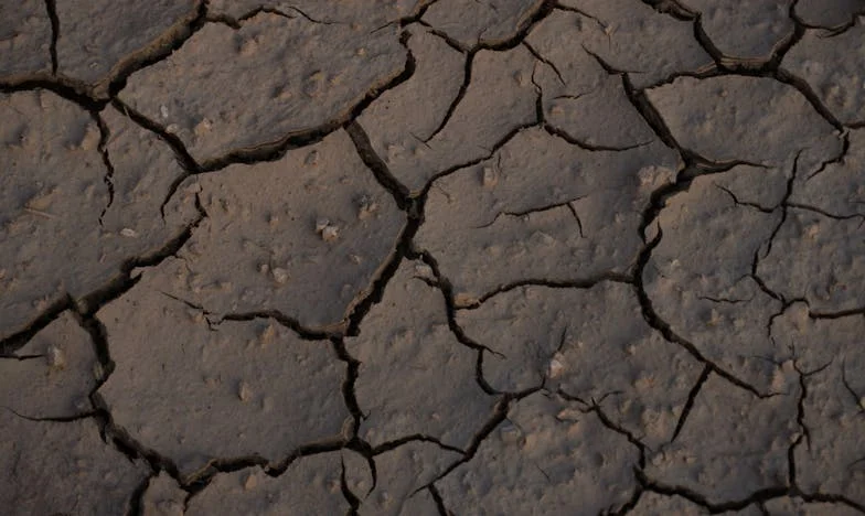 „Sunt soția lui Vlad.” – O seară care mi-a schimbat viața