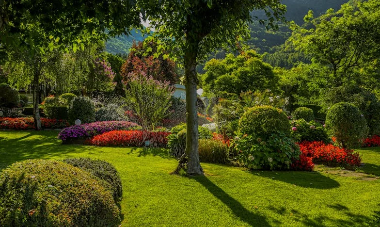 Tăcerea dincolo de ușă: Povestea unei mame românce între două lumi