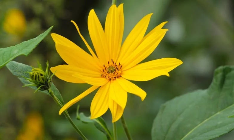 Tăcerea dintre noi: Lupta unei mame pentru încrederea fiicei sale