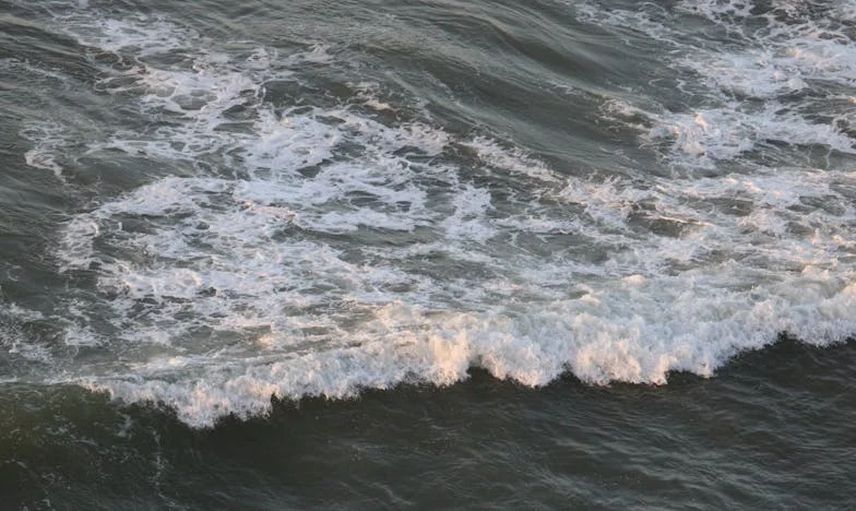 Ultima iubire: Prețul fericirii la bătrânețe