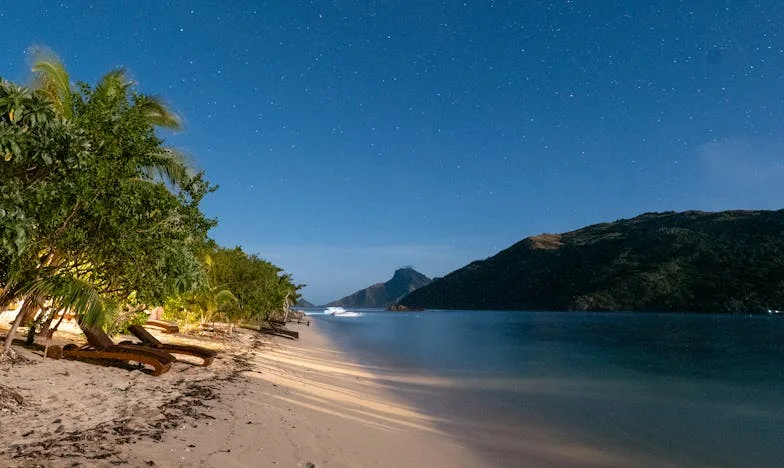 Umbrele trecutului: Povestea mea despre familie, adevăr și iertare