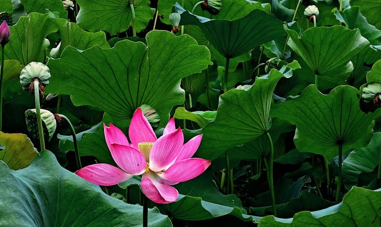 Un apartament fără familie: Povestea care mi-a destrămat viața