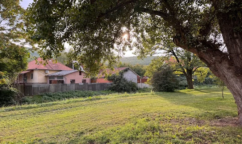 „Un singur nepot îmi ajunge!”: Povestea unei familii românești între așteptări și iubire