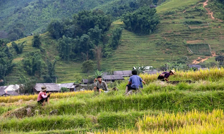 Ușile Închise Ale Orașului: Povestea Mea Despre Obstacolele Invizibile