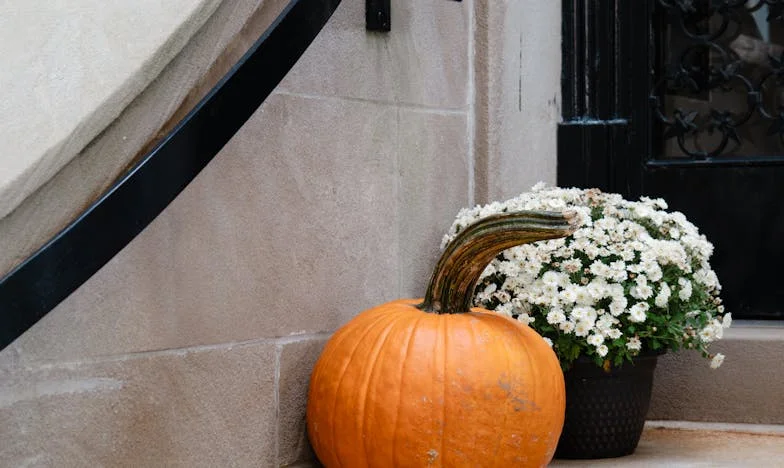 Adevărul Mamei: Ce S-a Întâmplat cu Adevărat Când a Plecat Radu