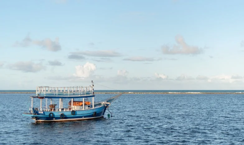 Ai plănuit totul, bunico? – Povestea unui nou început printre umbrele trecutului