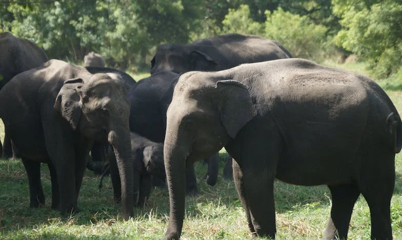 Bătăi în noapte: Teama, trădarea și iertarea care nu a venit niciodată