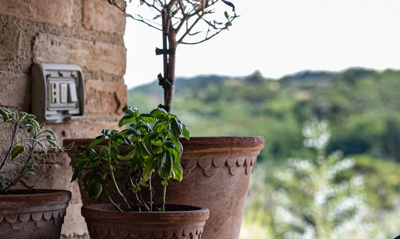 Când acasă devine un loc străin: Povestea unei trădări