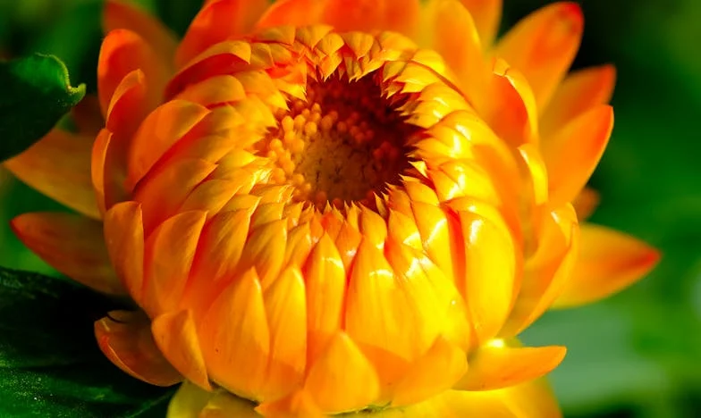 Când am crezut că dragostea la bătrânețe e un basm: povestea mea de după 60 de ani