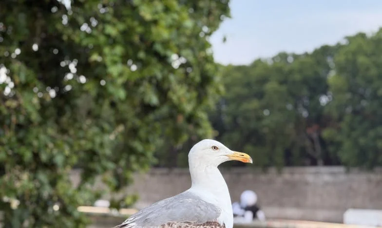 Când soțul meu a uitat de noi pentru fratele lui