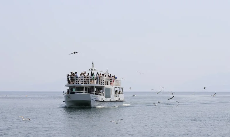 Când sună soacra la ora 17:00: Între două lumi, între două iubiri