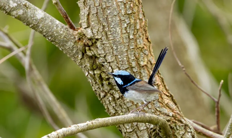 Când tăcerea devine zid: Povestea unei mame între fiică și ginere