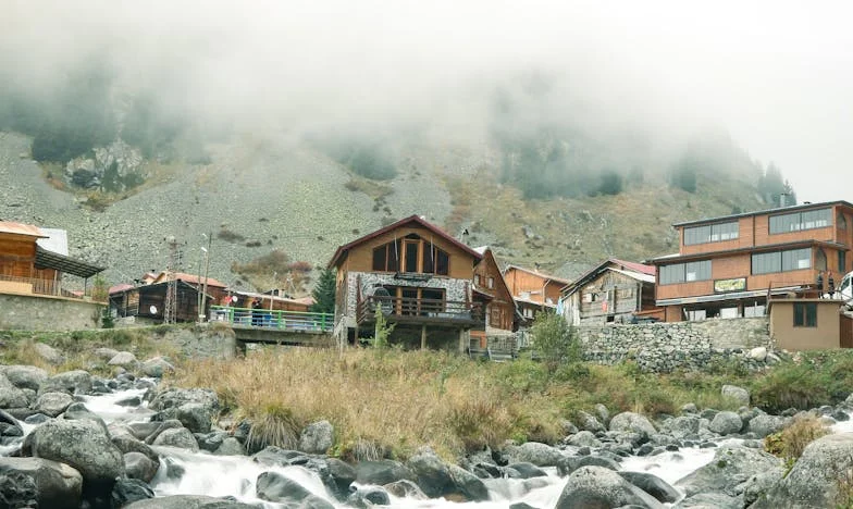 Când tăcerea urlă: Povestea mea despre pierdere, trădare și regăsire